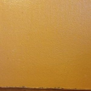 Meet your Posher, Aaliya'